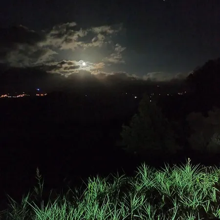 Sul Angitola 木屋